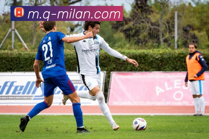 米兰体育平台生态图