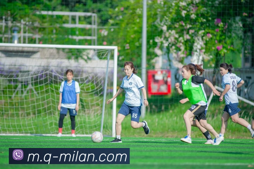 米兰体育全站App